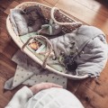 Kosz mojżesza Ahojbaby sesja ciążowa